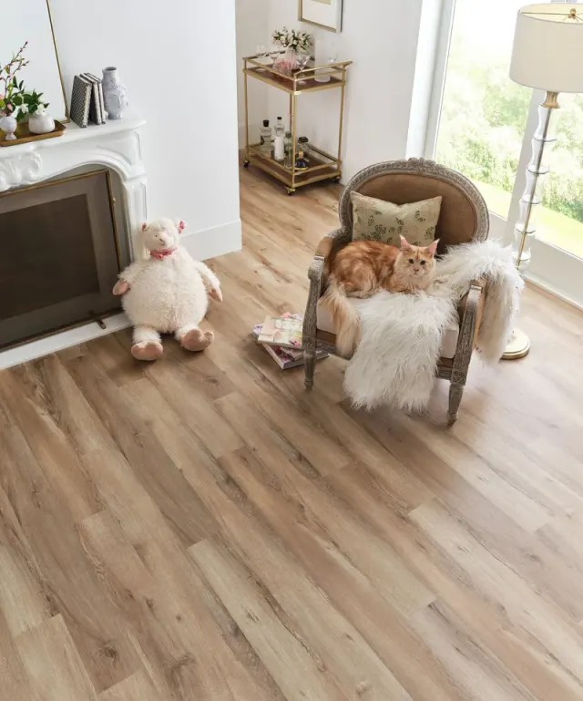 Overhead view of a cat on an armchair over wood-look flooring.